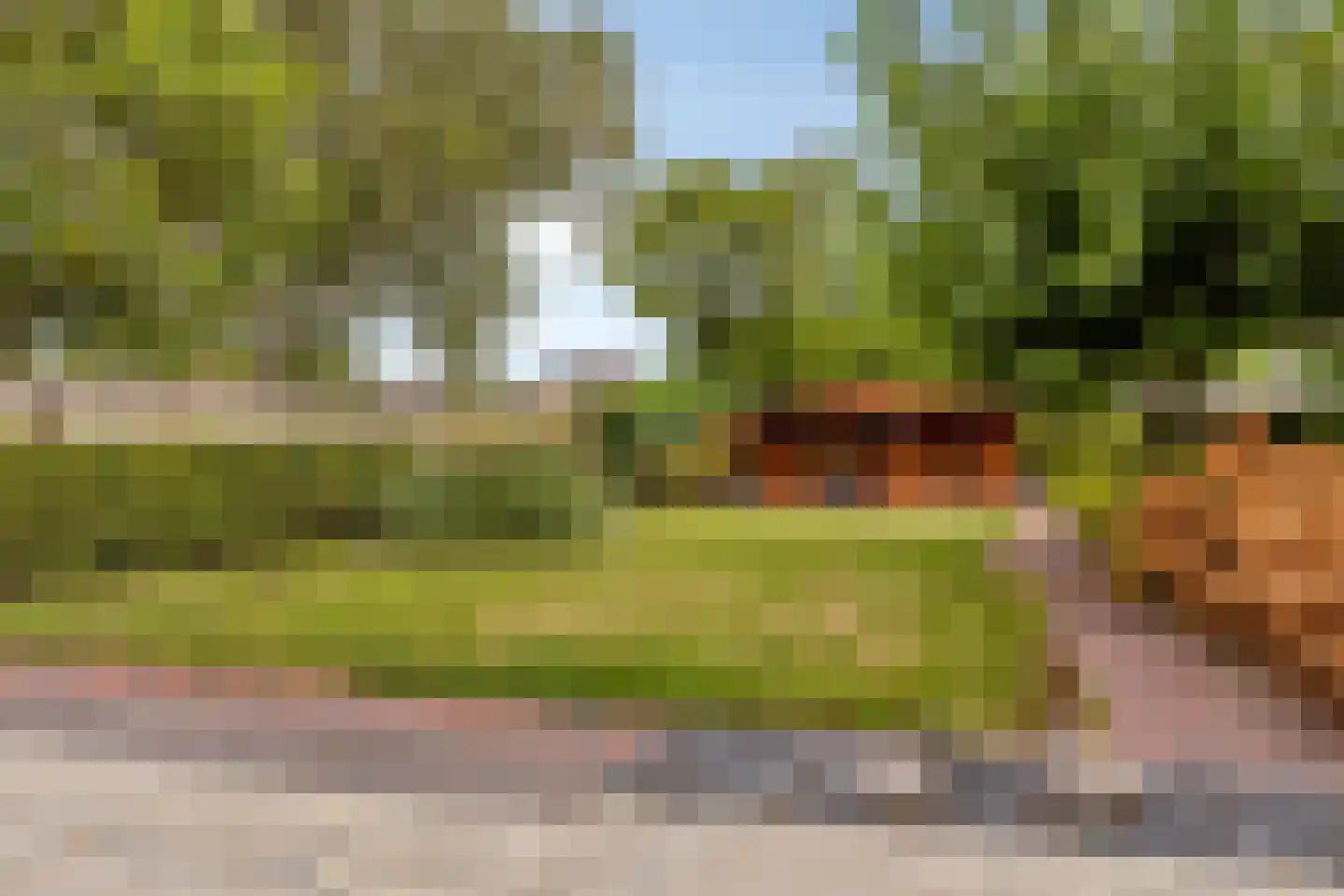 Steenbergseweg 26 Dinteloord thumbnail 60