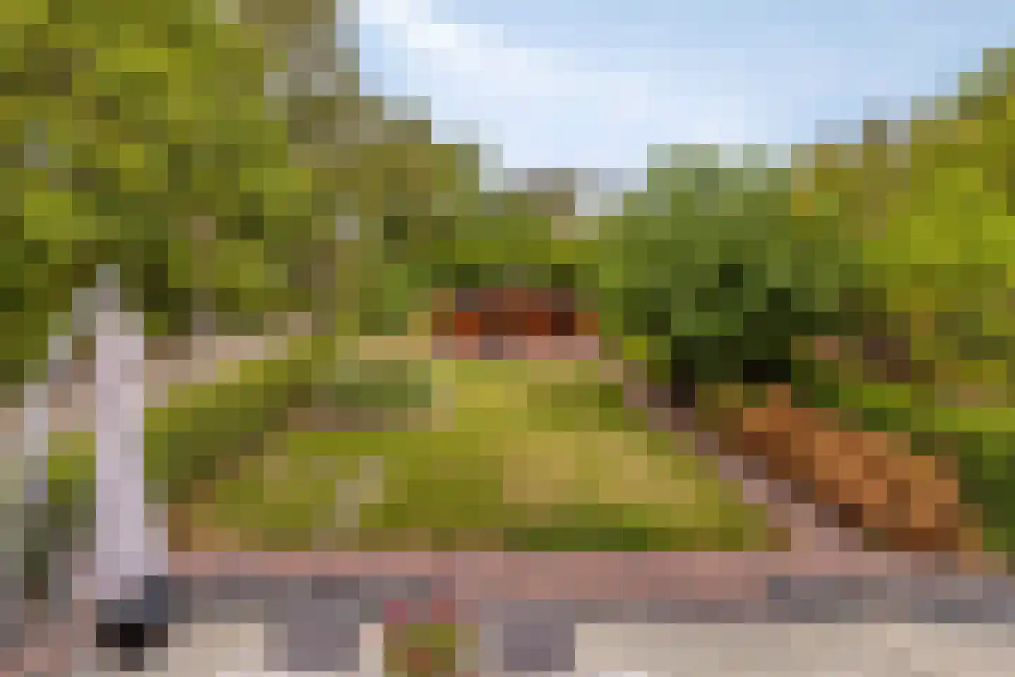 Steenbergseweg 26 Dinteloord thumbnail 61