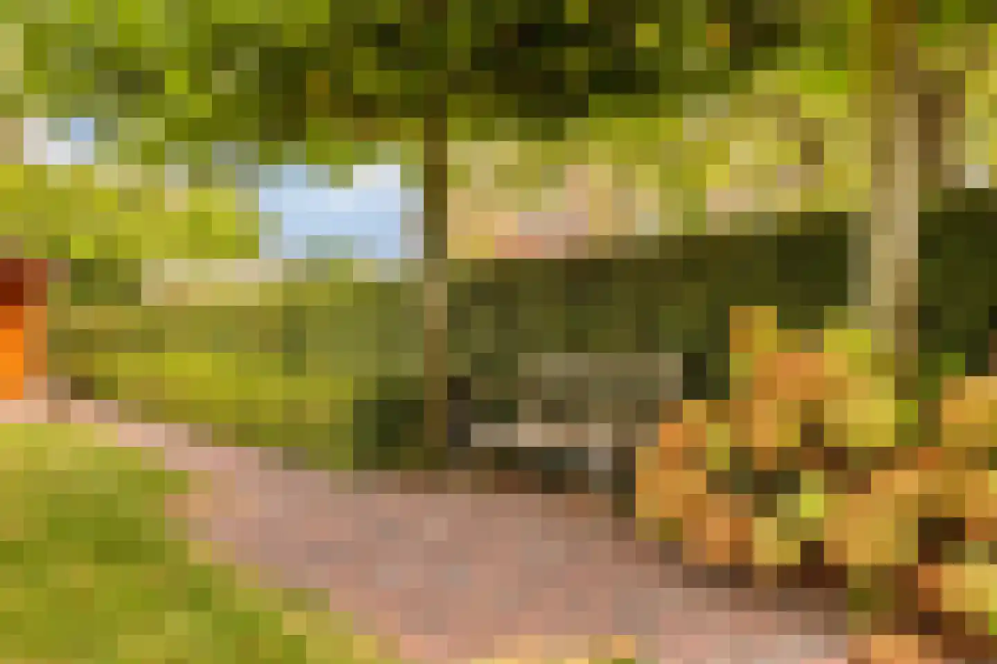 Steenbergseweg 26 Dinteloord thumbnail 62