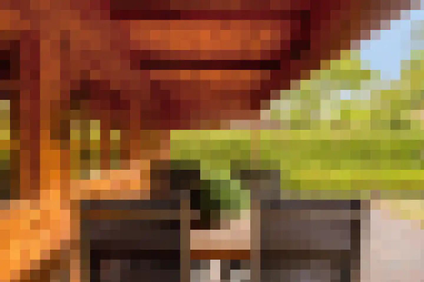 Steenbergseweg 26 Dinteloord thumbnail 64