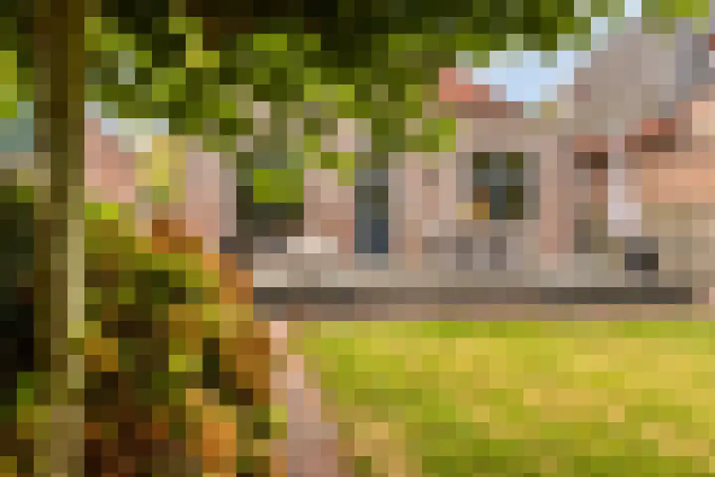 Steenbergseweg 26 Dinteloord thumbnail 65