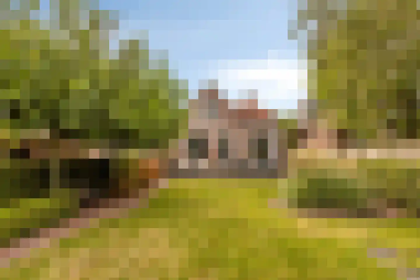 Steenbergseweg 26 Dinteloord thumbnail 68