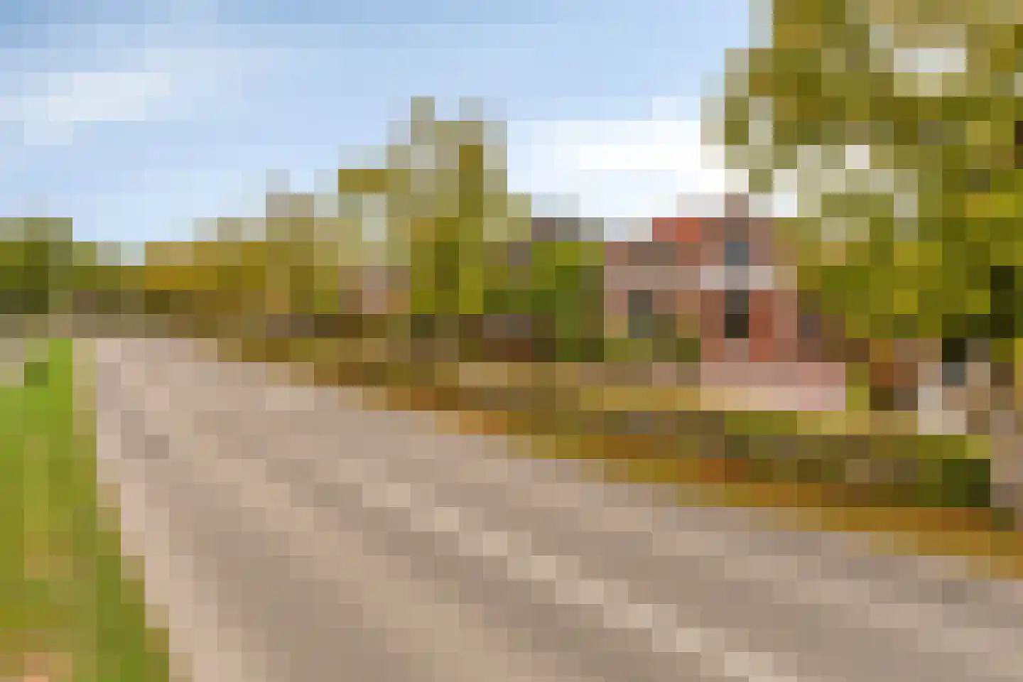 Steenbergseweg 26 Dinteloord thumbnail 70