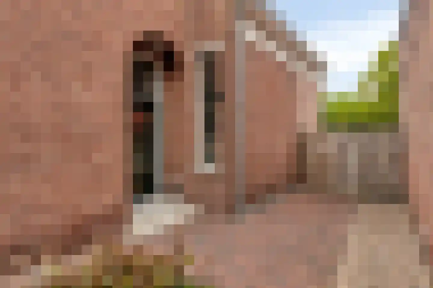 Steenbergseweg 26 Dinteloord thumbnail 76