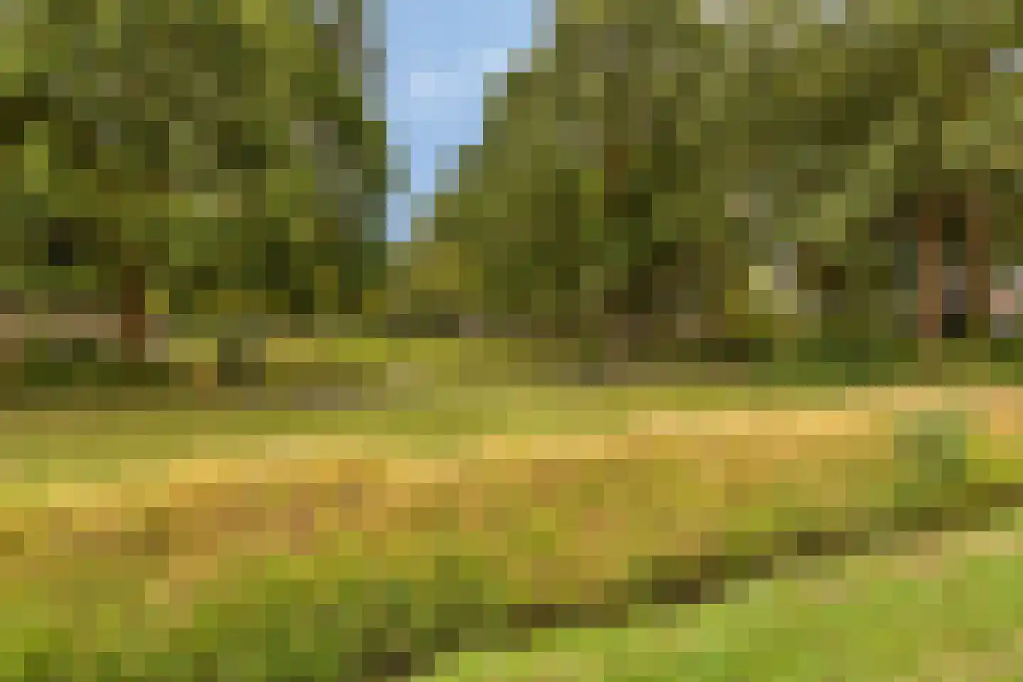 Steenbergseweg 26 Dinteloord thumbnail 77