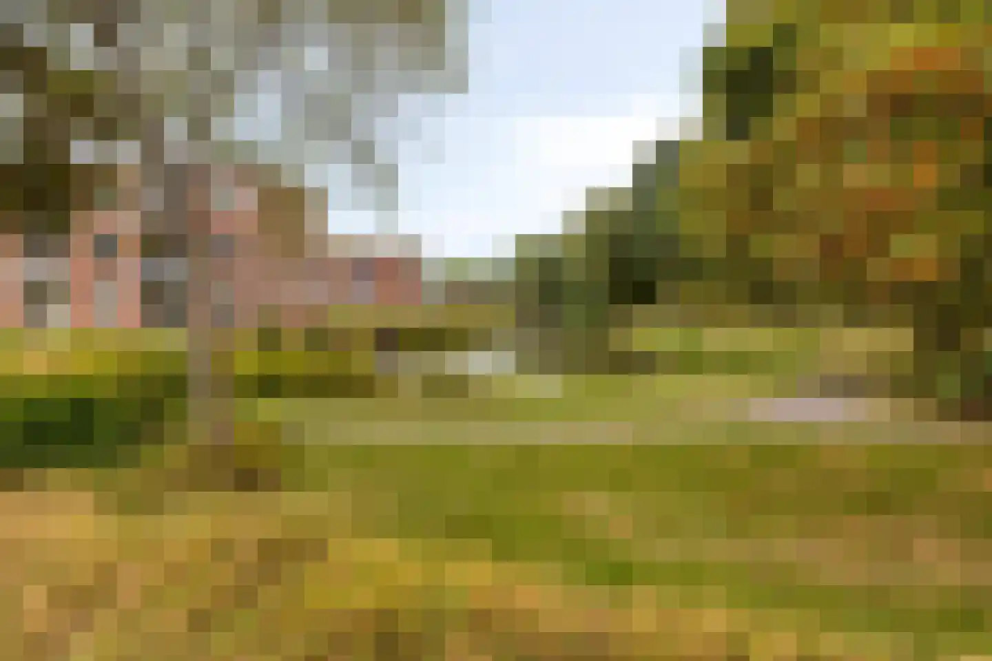Steenbergseweg 26 Dinteloord thumbnail 78