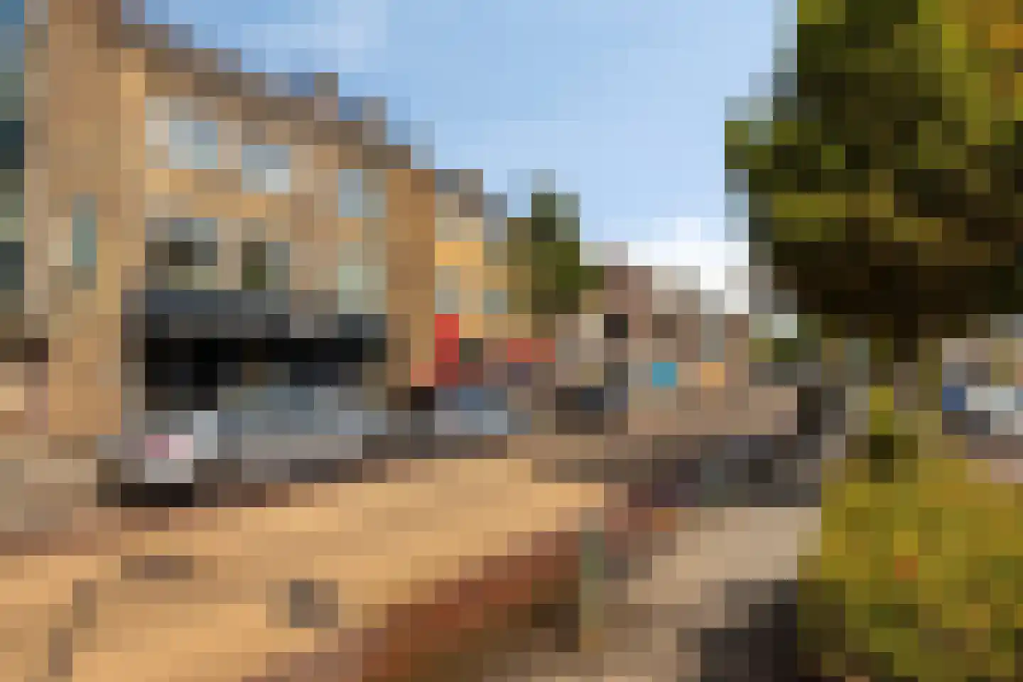 Steenbergseweg 26 Dinteloord thumbnail 79