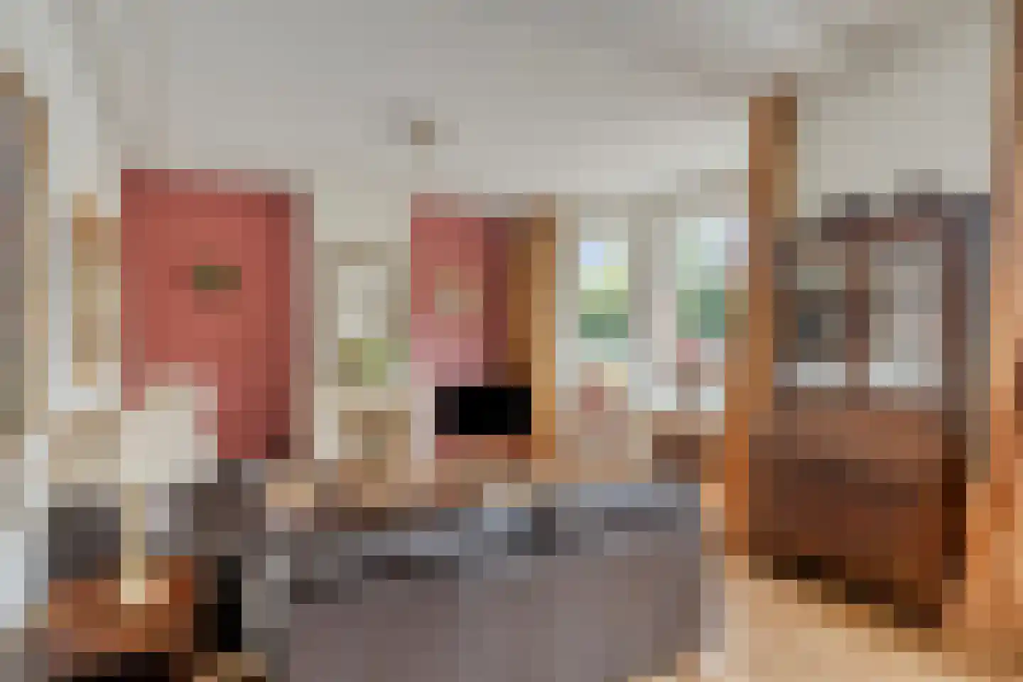 Steenbergseweg 26 Dinteloord thumbnail 9