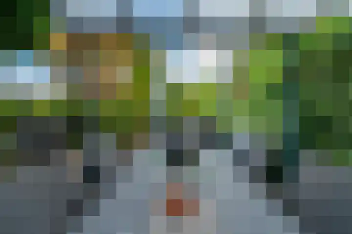 Steenbergseweg 46 Dinteloord thumbnail 21