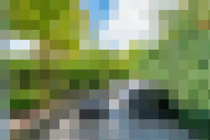 Steenbergseweg 46 Dinteloord thumbnail 22