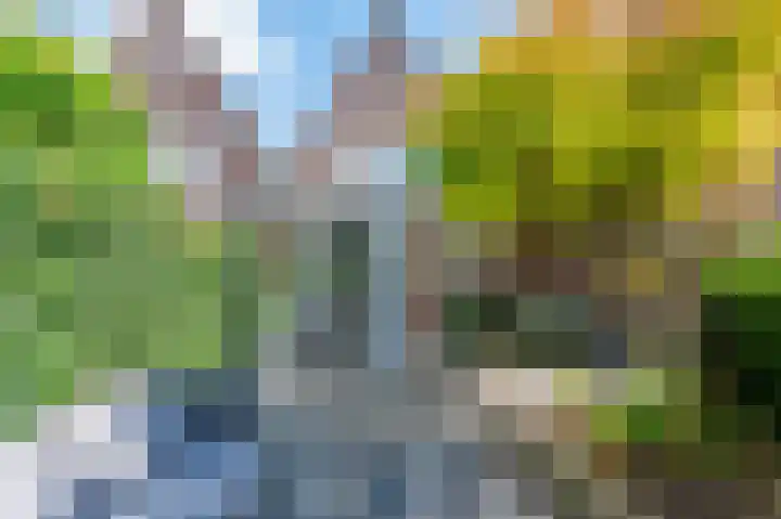 Steenbergseweg 46 Dinteloord thumbnail 23