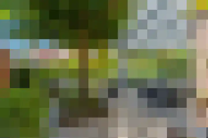 Steenbergseweg 46 Dinteloord thumbnail 4