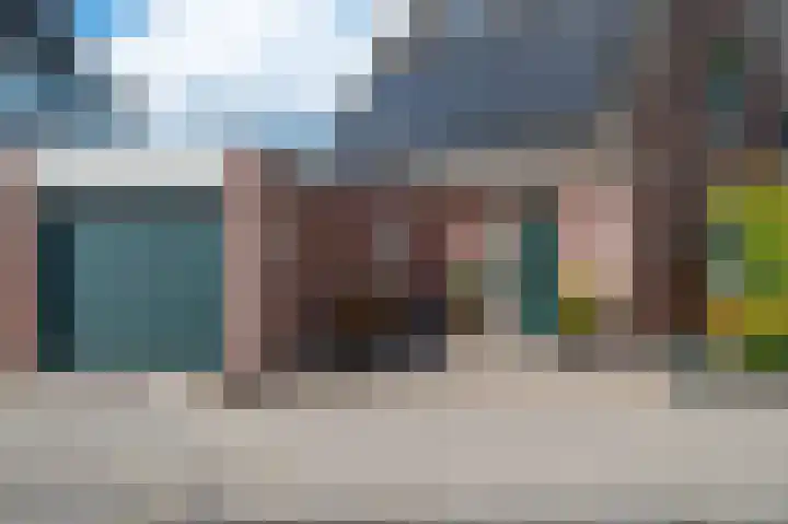 Steenbergseweg 46 Dinteloord thumbnail 5