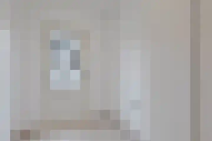 Steenbergseweg 85 Dinteloord thumbnail 21