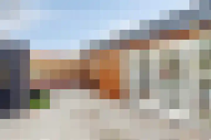 Steenbergseweg 85 Dinteloord thumbnail 32