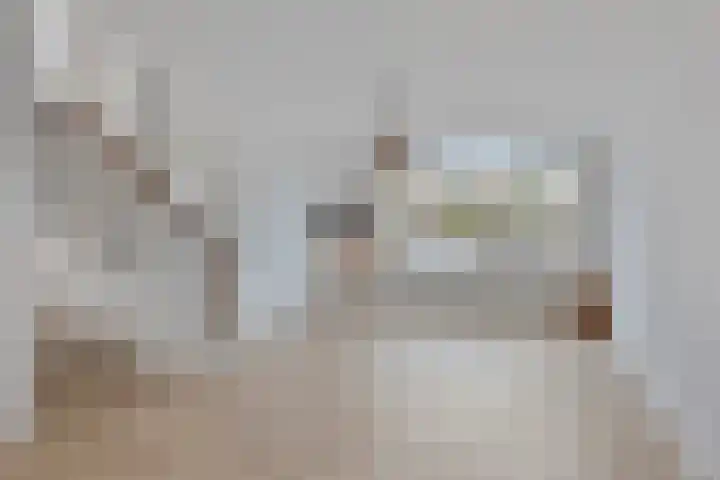 Steenbergseweg 85 Dinteloord thumbnail 7