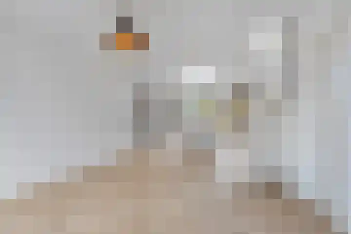 Steenbergseweg 85 Dinteloord thumbnail 9
