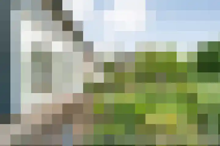 Steenboerweg 12 Zwolle thumbnail 10