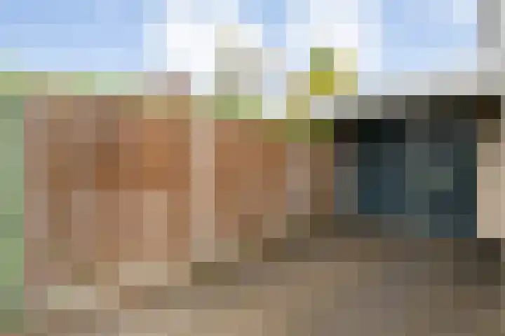 Steenboerweg 12 Zwolle thumbnail 11