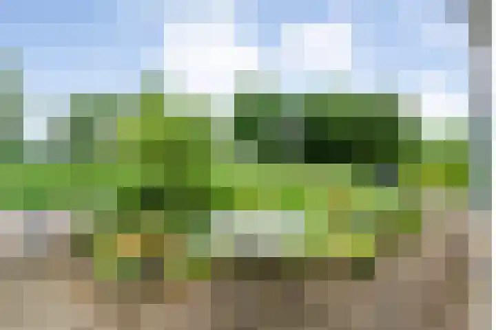 Steenboerweg 12 Zwolle thumbnail 13