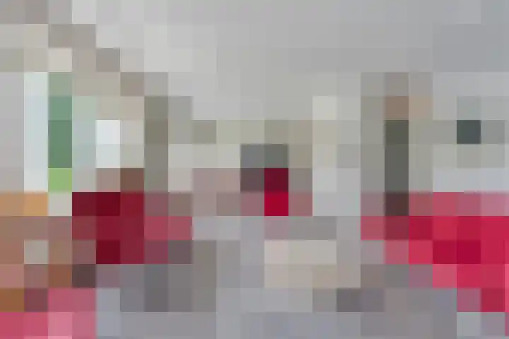 Steenboerweg 12 Zwolle thumbnail 18