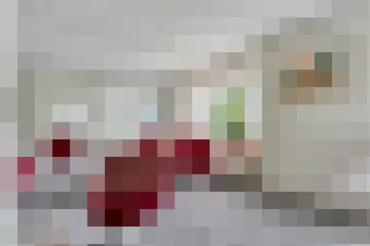 Steenboerweg 12 Zwolle thumbnail 20