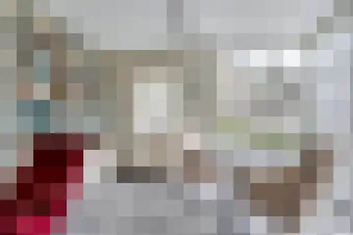 Steenboerweg 12 Zwolle thumbnail 21