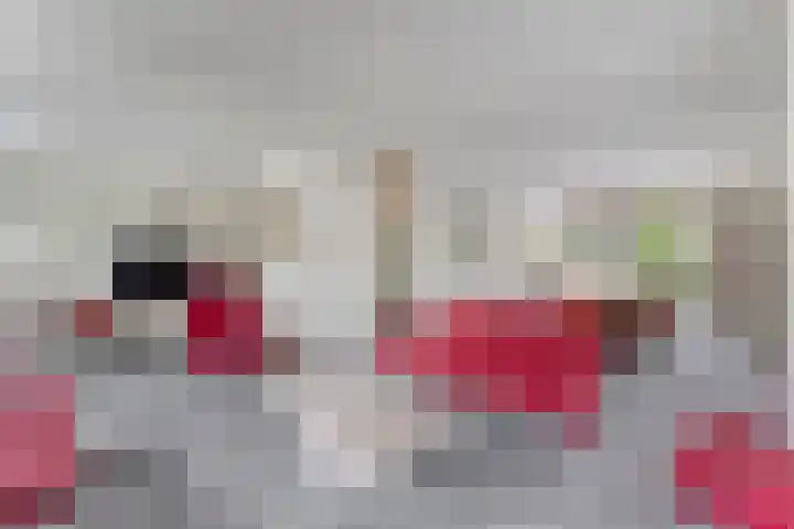 Steenboerweg 12 Zwolle thumbnail 22