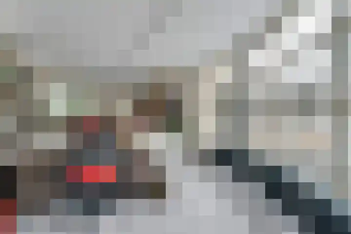 Steenboerweg 12 Zwolle thumbnail 27