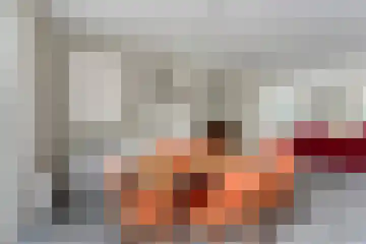 Steenboerweg 12 Zwolle thumbnail 30