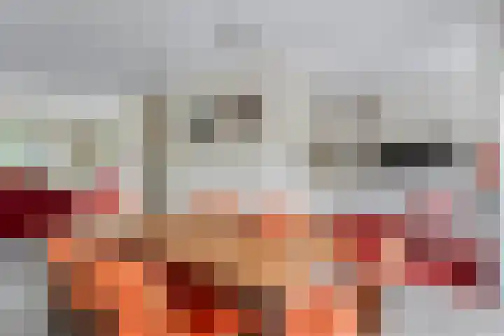Steenboerweg 12 Zwolle thumbnail 31