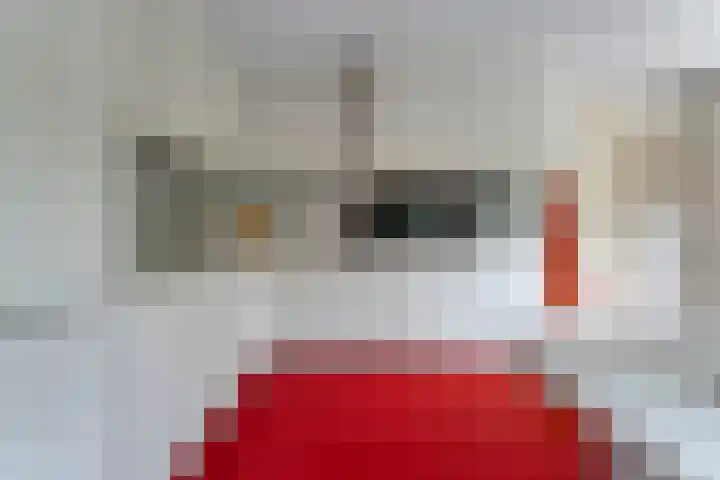 Steenboerweg 12 Zwolle thumbnail 32