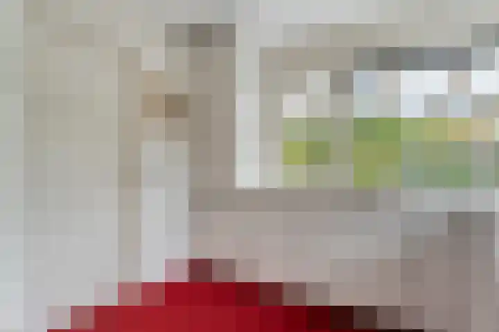 Steenboerweg 12 Zwolle thumbnail 35