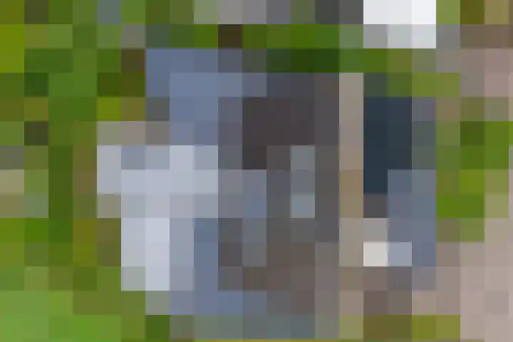 Steenboerweg 12 Zwolle thumbnail 4