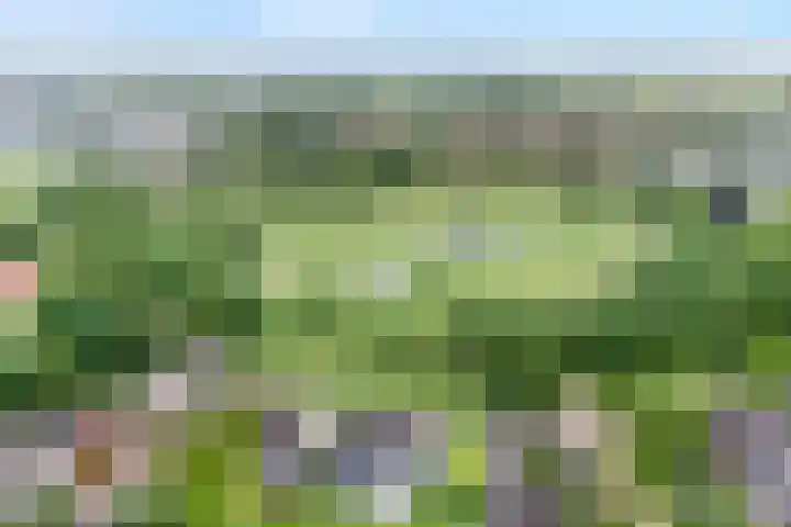 Steenboerweg 12 Zwolle thumbnail 5