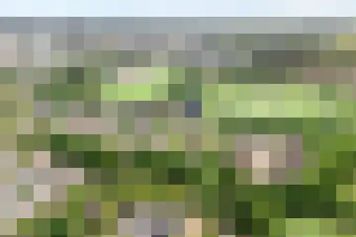 Steenboerweg 12 Zwolle thumbnail 6