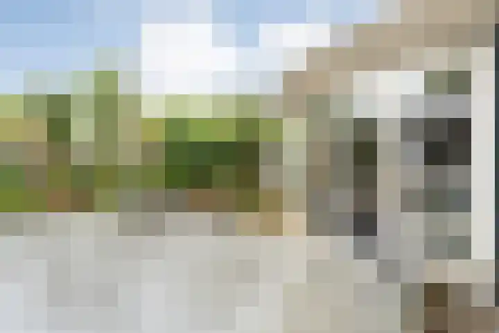 Steenboerweg 12 Zwolle thumbnail 61