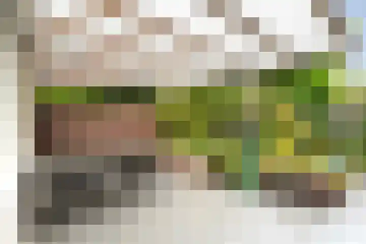 Steenboerweg 12 Zwolle thumbnail 63