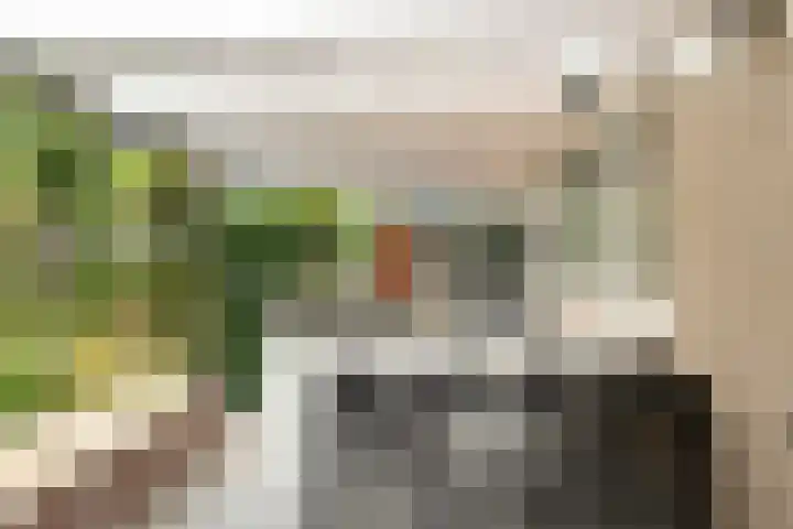 Steenboerweg 12 Zwolle thumbnail 64