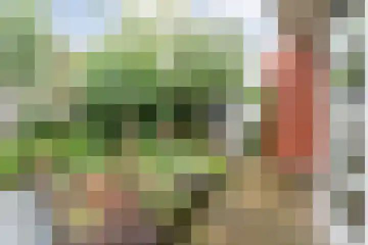 Steenboerweg 12 Zwolle thumbnail 68