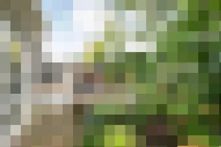 Steenboerweg 12 Zwolle thumbnail 69