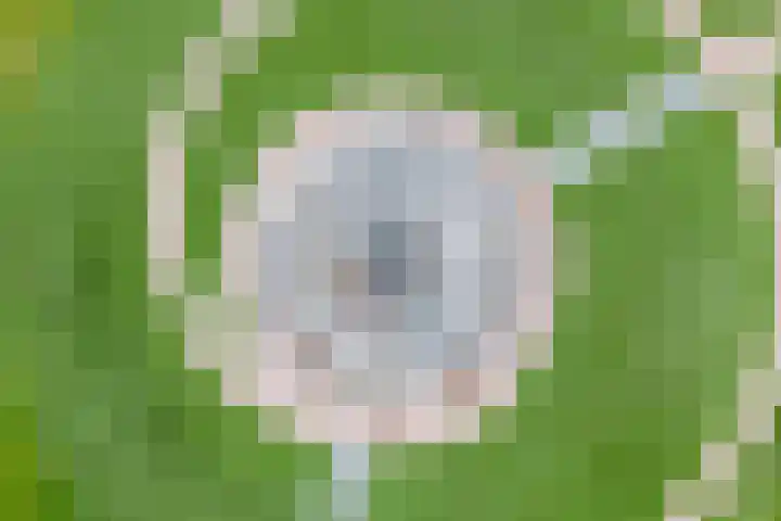 Steenboerweg 12 Zwolle thumbnail 7