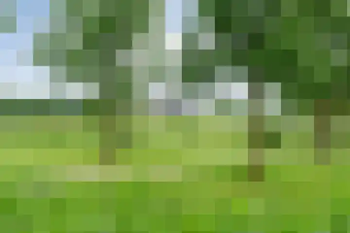 Steenboerweg 12 Zwolle thumbnail 72