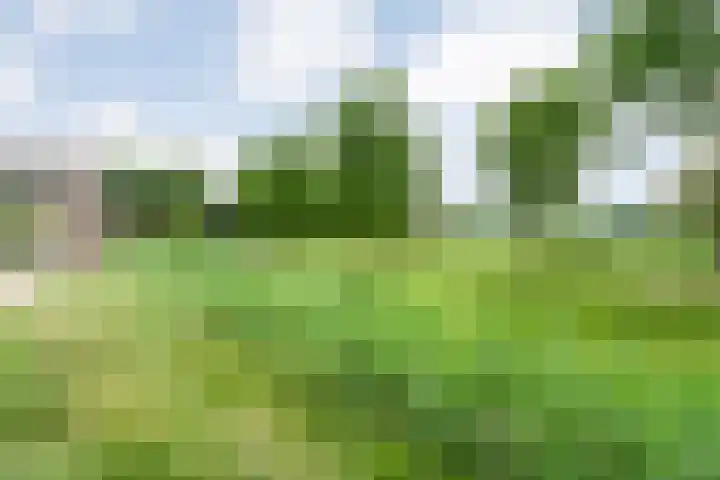Steenboerweg 12 Zwolle thumbnail 73