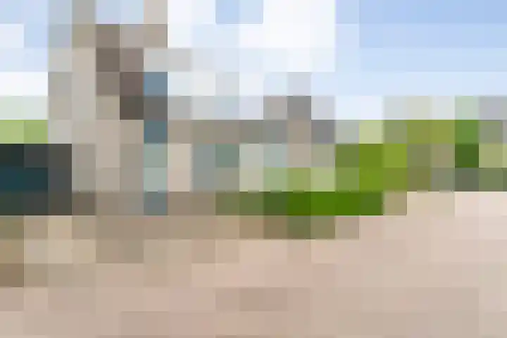 Steenboerweg 12 Zwolle thumbnail 8