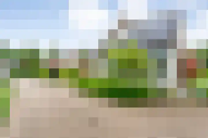Steenboerweg 12 Zwolle thumbnail 9