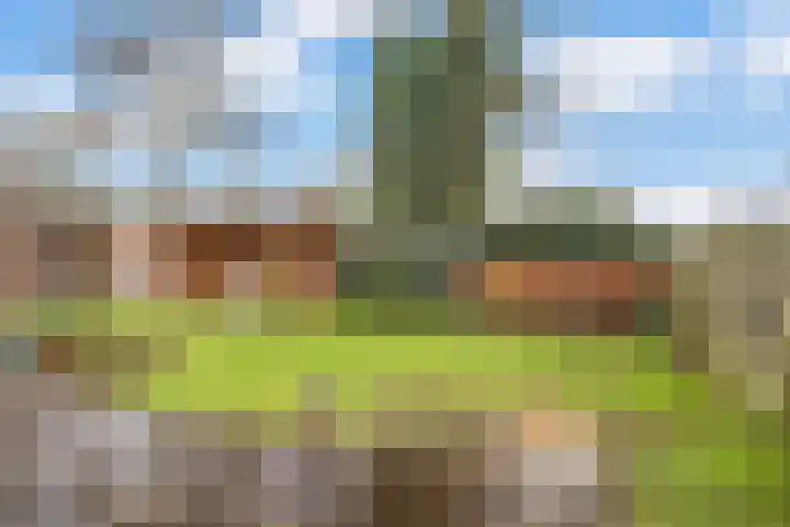 Steenboerweg 14 Zwolle thumbnail 28