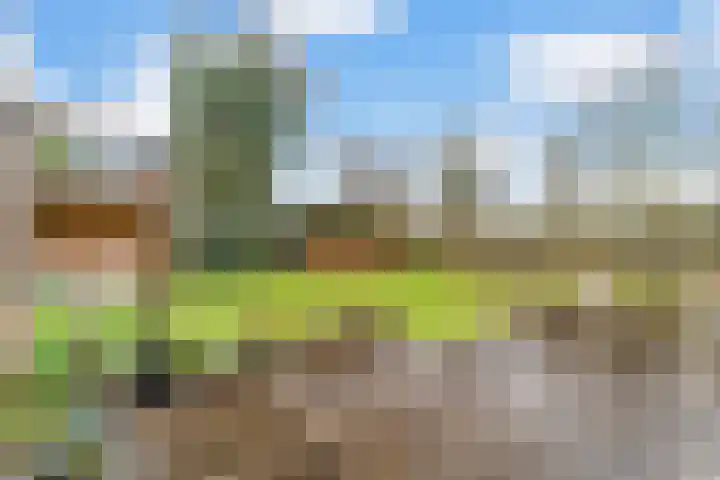Steenboerweg 14 Zwolle thumbnail 29