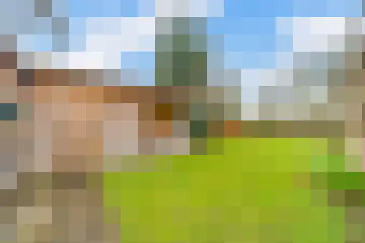 Steenboerweg 14 Zwolle thumbnail 30
