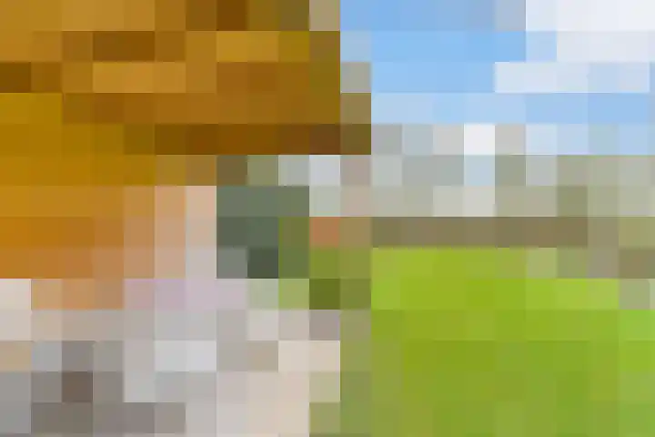 Steenboerweg 14 Zwolle thumbnail 31